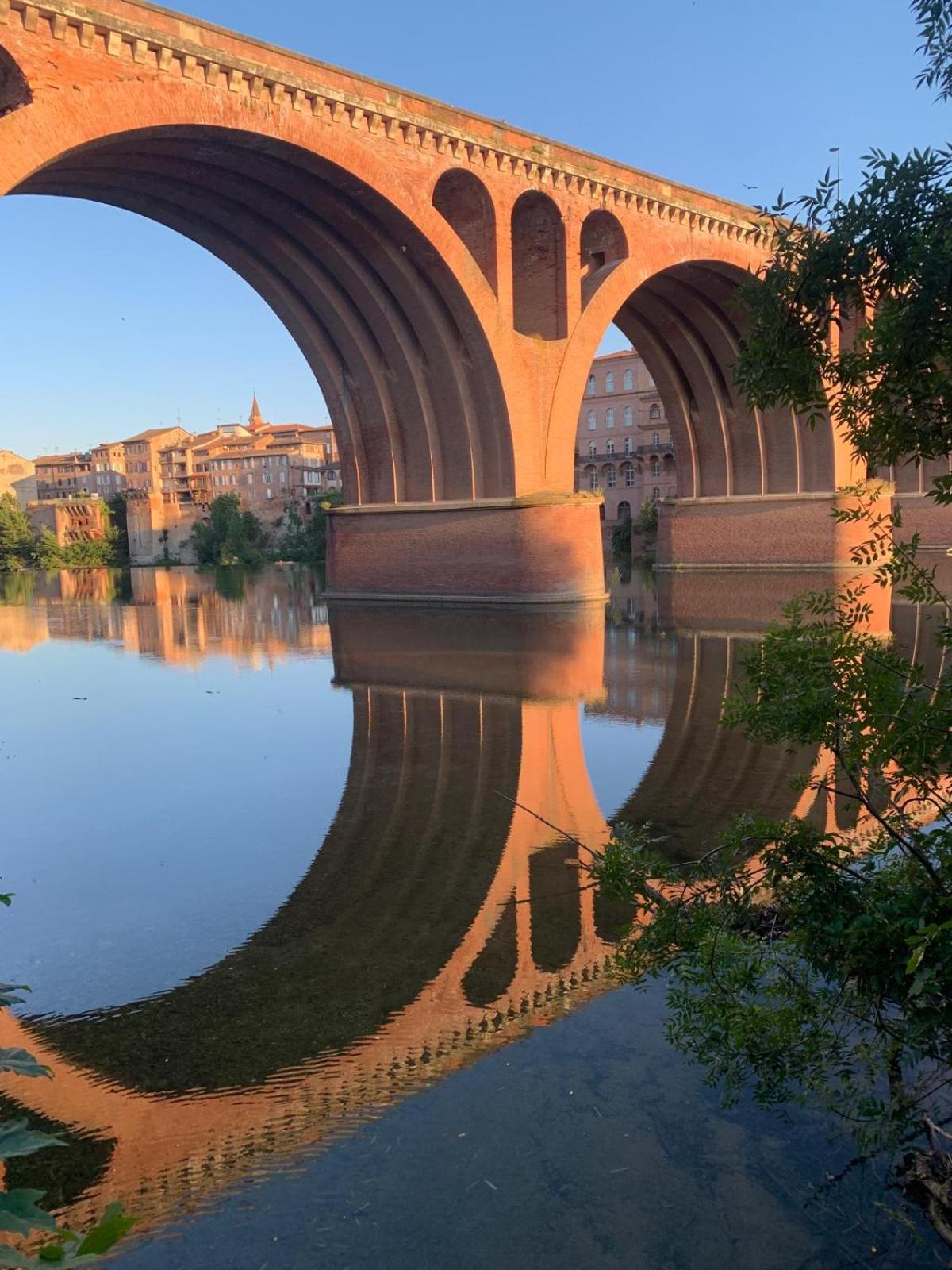 Comfort And Fab Views Albi Kültér fotó